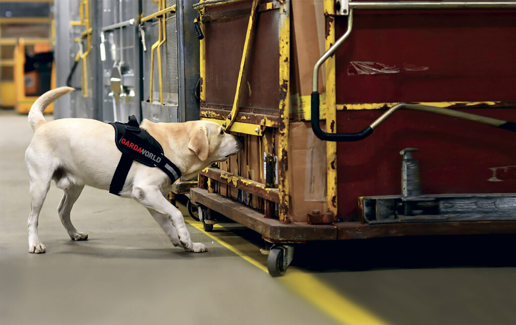 Dog Sense at Airports