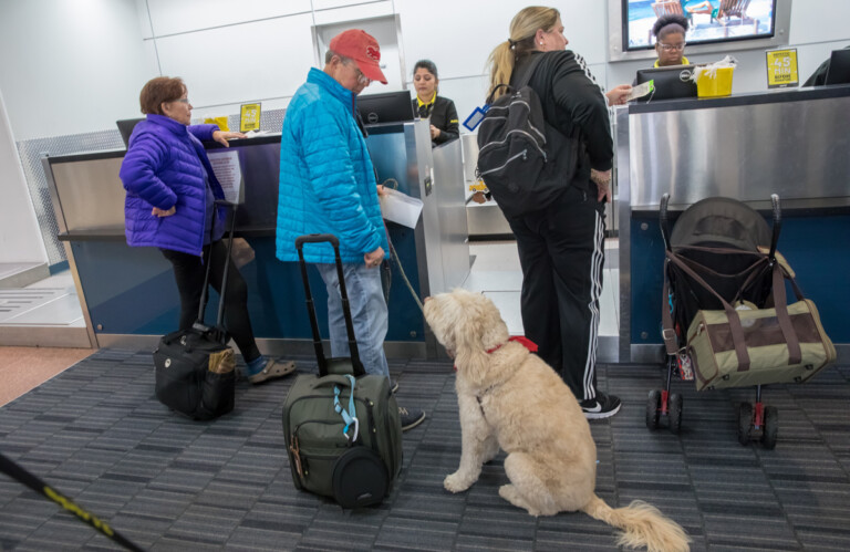 Emotional Support Animals No Longer Getting Free Pass Treatment On Commercial Flights emotional support animal flight Metropolitan Airport News