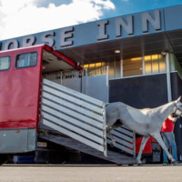 World's Biggest Equine Airlift for FEI World Equestrian Games Tryon 2018 New York Airport image012 Metropolitan Airport News