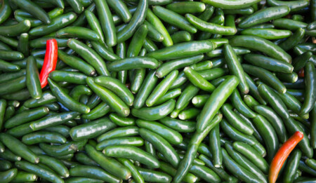 peppers Metropolitan Airport News