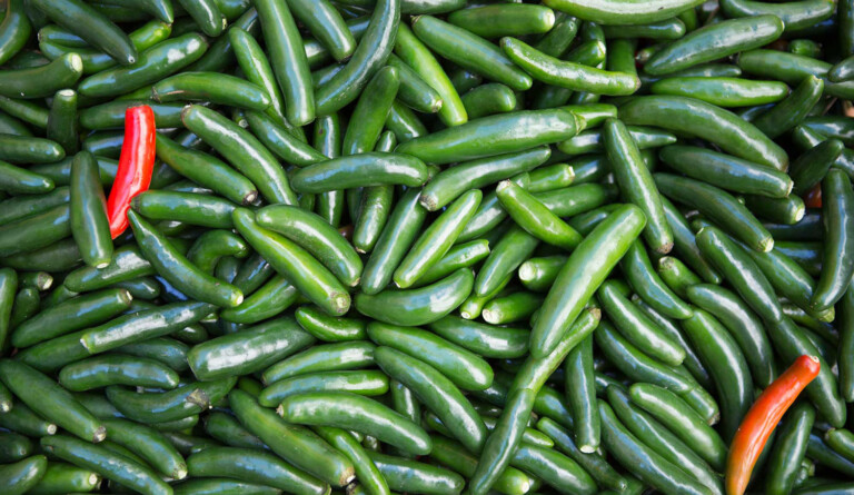 JetBlue Spices Up Its ‘BlueBud’ Business Mentoring Program peppers Metropolitan Airport News